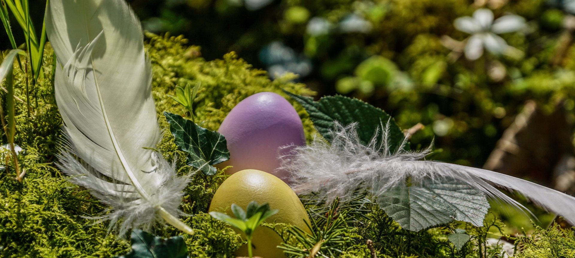 165106-easter-4976875